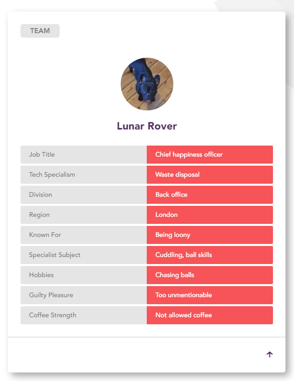 Lunar Rover Teamcard